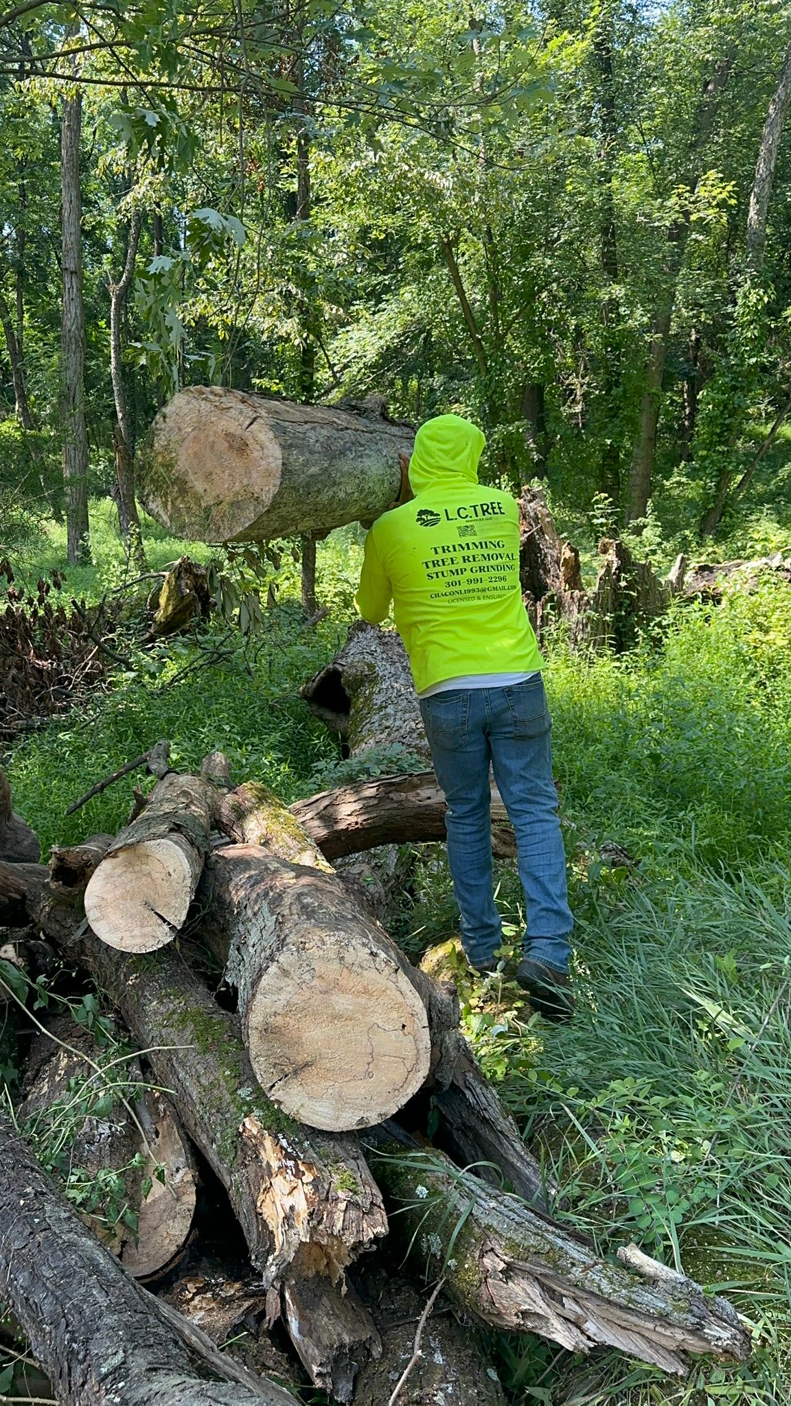 L.C Tree Services LLC Image